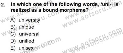 Dilbilim 1 Dersi Ara Sınavı Deneme Sınav Soruları 2. Soru