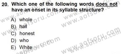 Dilbilim 1 Dersi Ara Sınavı Deneme Sınav Soruları 20. Soru