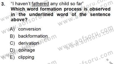 Dilbilim 1 Dersi Ara Sınavı Deneme Sınav Soruları 3. Soru