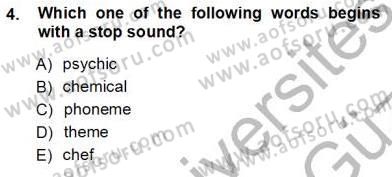 Dilbilim 1 Dersi Ara Sınavı Deneme Sınav Soruları 4. Soru