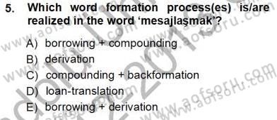 Dilbilim 1 Dersi Ara Sınavı Deneme Sınav Soruları 5. Soru