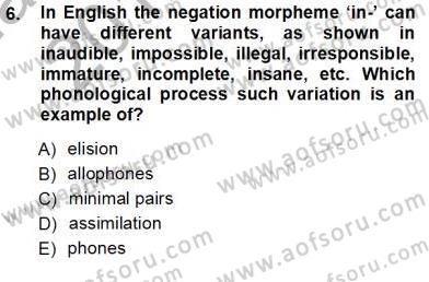 Dilbilim 1 Dersi Ara Sınavı Deneme Sınav Soruları 6. Soru