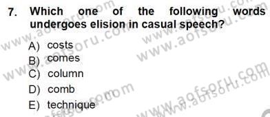 Dilbilim 1 Dersi 2012 - 2013 Yılı (Vize) Ara Sınav Soruları 7. Soru