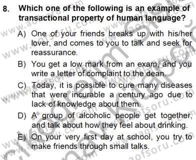 Dilbilim 1 Dersi Ara Sınavı Deneme Sınav Soruları 8. Soru