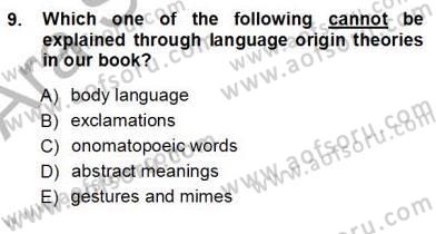 Dilbilim 1 Dersi Ara Sınavı Deneme Sınav Soruları 9. Soru
