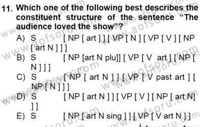 Dilbilim 1 Dersi 2012 - 2013 Yılı (Final) Dönem Sonu Sınav Soruları 11. Soru