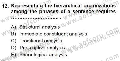 Dilbilim 1 Dersi 2012 - 2013 Yılı (Final) Dönem Sonu Sınav Soruları 12. Soru