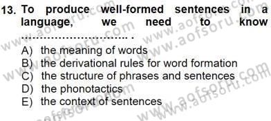 Dilbilim 1 Dersi 2012 - 2013 Yılı (Final) Dönem Sonu Sınav Soruları 13. Soru