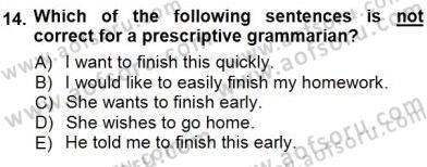 Dilbilim 1 Dersi 2012 - 2013 Yılı (Final) Dönem Sonu Sınav Soruları 14. Soru