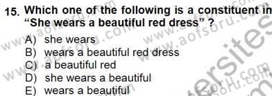 Dilbilim 1 Dersi 2012 - 2013 Yılı (Final) Dönem Sonu Sınav Soruları 15. Soru