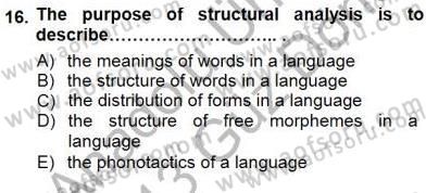 Dilbilim 1 Dersi 2012 - 2013 Yılı (Final) Dönem Sonu Sınav Soruları 16. Soru