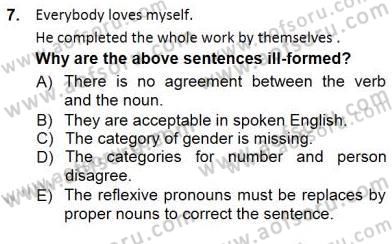 Dilbilim 1 Dersi 2012 - 2013 Yılı (Final) Dönem Sonu Sınav Soruları 7. Soru