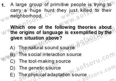 Dilbilim 1 Dersi Ara Sınavı Deneme Sınav Soruları 1. Soru
