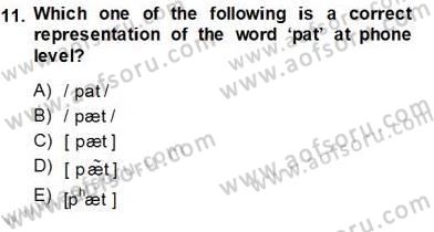 Dilbilim 1 Dersi Ara Sınavı Deneme Sınav Soruları 11. Soru