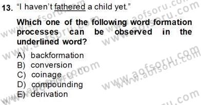 Dilbilim 1 Dersi Ara Sınavı Deneme Sınav Soruları 13. Soru