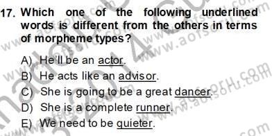Dilbilim 1 Dersi Ara Sınavı Deneme Sınav Soruları 17. Soru