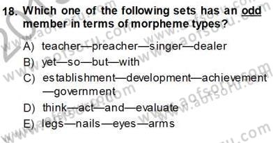 Dilbilim 1 Dersi Ara Sınavı Deneme Sınav Soruları 18. Soru