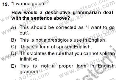 Dilbilim 1 Dersi 2013 - 2014 Yılı (Vize) Ara Sınav Soruları 19. Soru