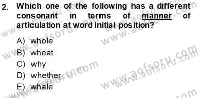 Dilbilim 1 Dersi Ara Sınavı Deneme Sınav Soruları 2. Soru