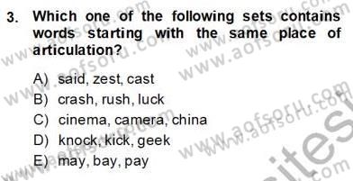 Dilbilim 1 Dersi Ara Sınavı Deneme Sınav Soruları 3. Soru