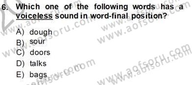 Dilbilim 1 Dersi Ara Sınavı Deneme Sınav Soruları 6. Soru