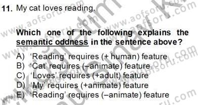 Dilbilim 1 Dersi 2013 - 2014 Yılı (Final) Dönem Sonu Sınav Soruları 11. Soru