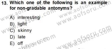 Dilbilim 1 Dersi 2013 - 2014 Yılı (Final) Dönem Sonu Sınav Soruları 13. Soru