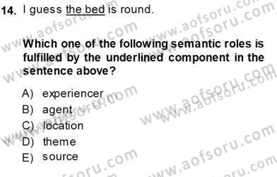 Dilbilim 1 Dersi 2013 - 2014 Yılı (Final) Dönem Sonu Sınav Soruları 14. Soru