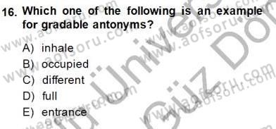 Dilbilim 1 Dersi 2013 - 2014 Yılı (Final) Dönem Sonu Sınav Soruları 16. Soru