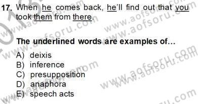 Dilbilim 1 Dersi 2013 - 2014 Yılı (Final) Dönem Sonu Sınav Soruları 17. Soru