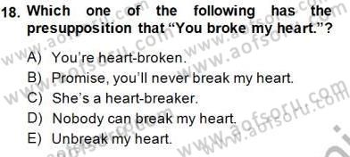 Dilbilim 1 Dersi 2013 - 2014 Yılı (Final) Dönem Sonu Sınav Soruları 18. Soru