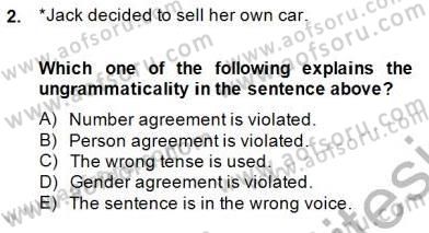 Dilbilim 1 Dersi 2013 - 2014 Yılı (Final) Dönem Sonu Sınav Soruları 2. Soru