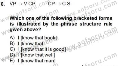 Dilbilim 1 Dersi 2013 - 2014 Yılı (Final) Dönem Sonu Sınav Soruları 6. Soru