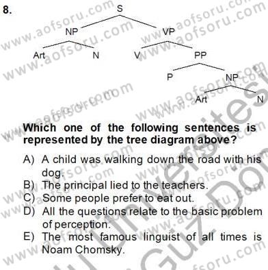 Dilbilim 1 Dersi 2013 - 2014 Yılı (Final) Dönem Sonu Sınav Soruları 8. Soru