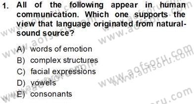 Dilbilim 1 Dersi 2013 - 2014 Yılı Tek Ders Sınav Soruları 1. Soru