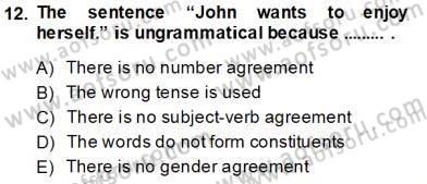 Dilbilim 1 Dersi 2013 - 2014 Yılı Tek Ders Sınav Soruları 11. Soru
