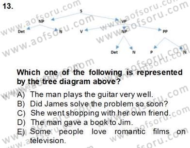 Dilbilim 1 Dersi 2013 - 2014 Yılı Tek Ders Sınav Soruları 12. Soru