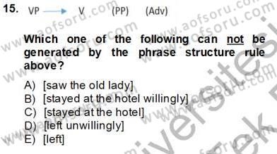 Dilbilim 1 Dersi 2013 - 2014 Yılı Tek Ders Sınav Soruları 14. Soru