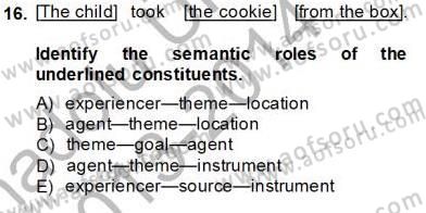 Dilbilim 1 Dersi 2013 - 2014 Yılı Tek Ders Sınav Soruları 16. Soru