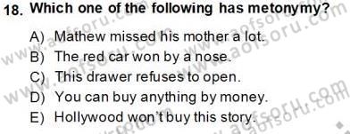 Dilbilim 1 Dersi 2013 - 2014 Yılı Tek Ders Sınav Soruları 18. Soru