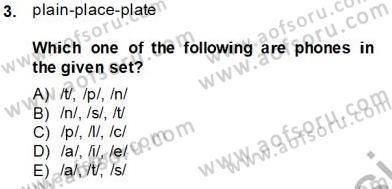 Dilbilim 1 Dersi 2013 - 2014 Yılı Tek Ders Sınav Soruları 3. Soru