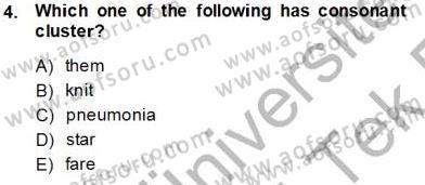 Dilbilim 1 Dersi 2013 - 2014 Yılı Tek Ders Sınav Soruları 4. Soru