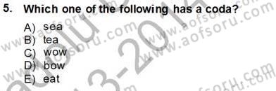 Dilbilim 1 Dersi 2013 - 2014 Yılı Tek Ders Sınav Soruları 5. Soru