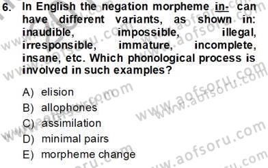 Dilbilim 1 Dersi 2013 - 2014 Yılı Tek Ders Sınav Soruları 6. Soru
