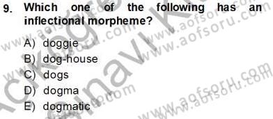 Dilbilim 1 Dersi 2013 - 2014 Yılı Tek Ders Sınav Soruları 8. Soru