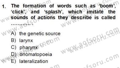 Dilbilim 1 Dersi Ara Sınavı Deneme Sınav Soruları 1. Soru