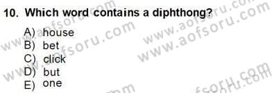 Dilbilim 1 Dersi Ara Sınavı Deneme Sınav Soruları 10. Soru