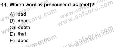 Dilbilim 1 Dersi Ara Sınavı Deneme Sınav Soruları 11. Soru