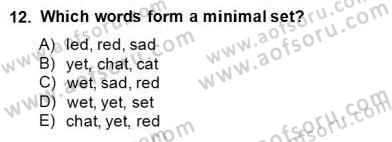 Dilbilim 1 Dersi Ara Sınavı Deneme Sınav Soruları 12. Soru