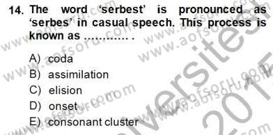 Dilbilim 1 Dersi Ara Sınavı Deneme Sınav Soruları 14. Soru